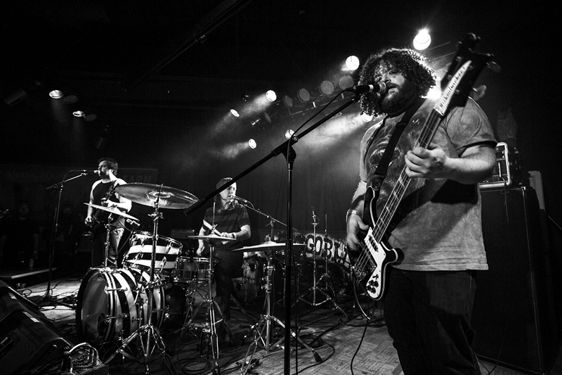 black-mastiff-live-1